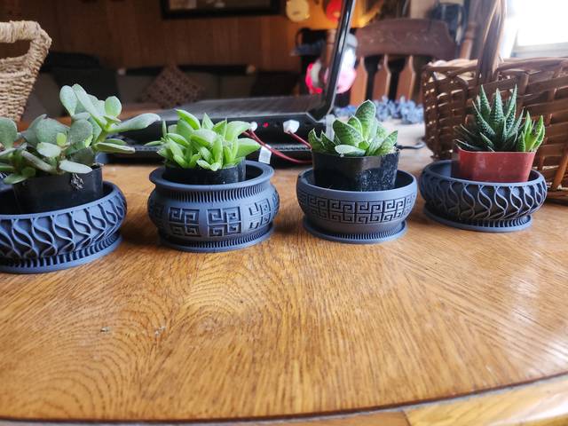 Printed planters, potted with succulents