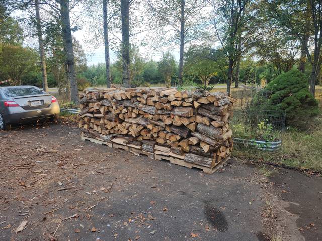 Firewood stacked and seasoning