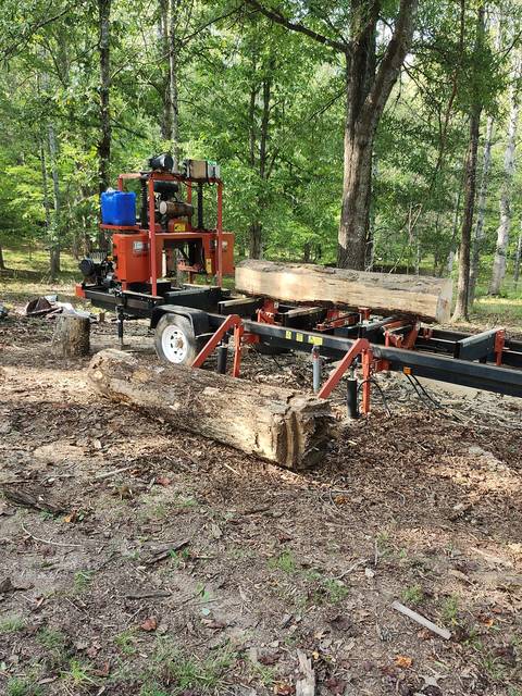 A log on the TimberKing