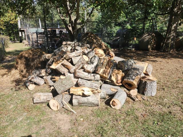 Split firewood